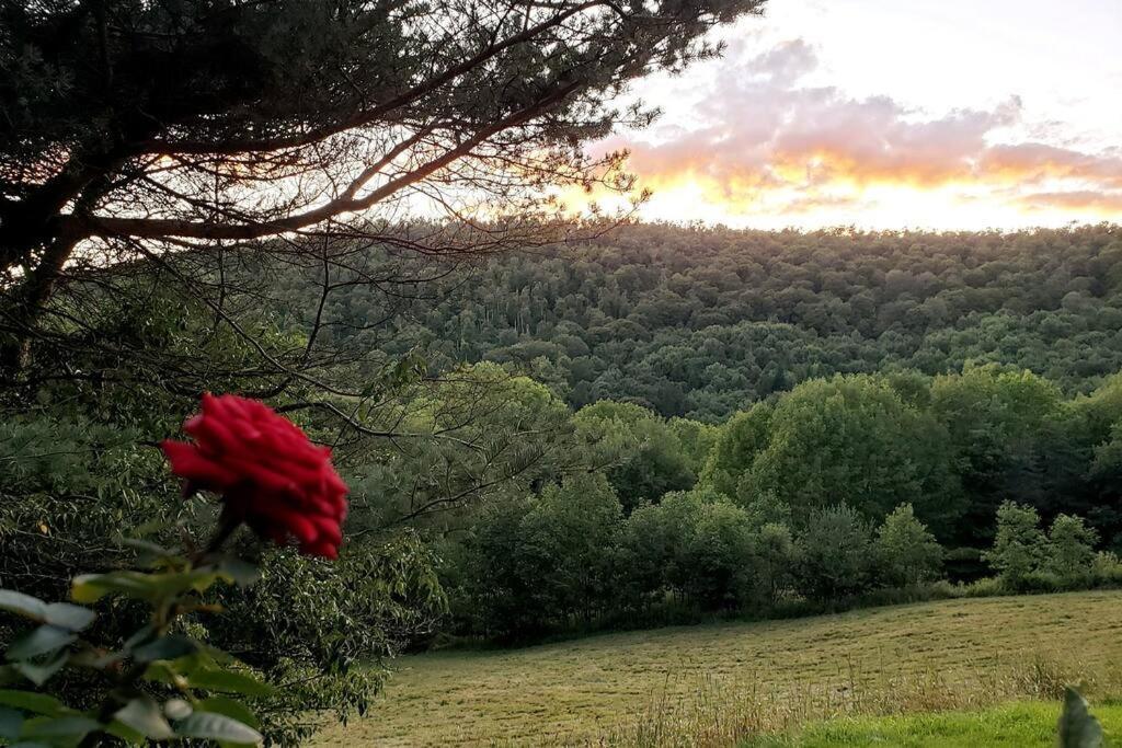 Breathtaking Views. Hot Tub. Huge Deck. Fast Wifi Villa Andes Exterior photo
